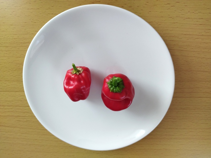 家庭菜園で収穫した完熟赤ピーマンをお皿に並べた写真