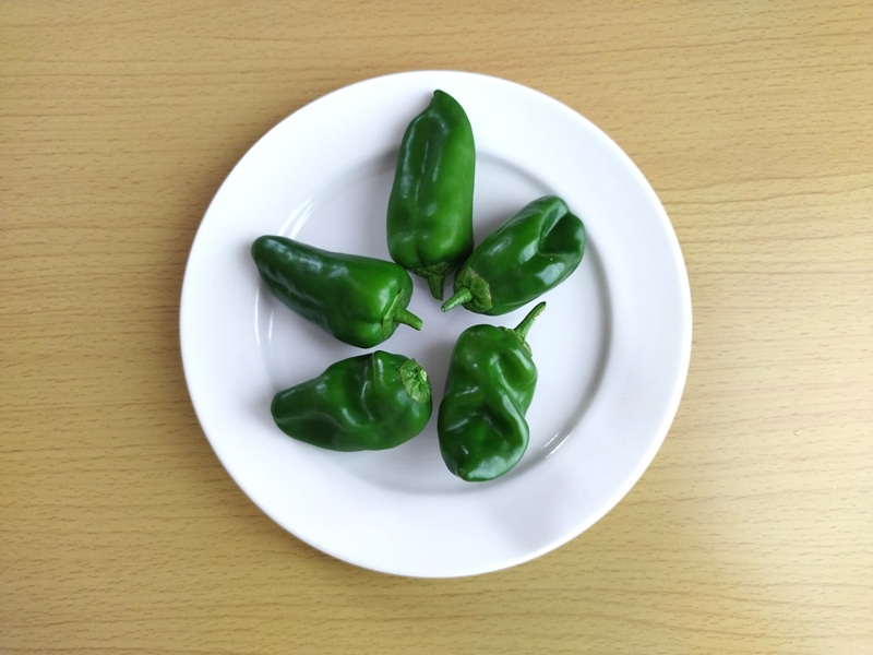 家庭菜園で収穫した緑ピーマンをお皿に並べた写真