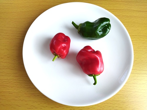 冷蔵庫で赤くなったピーマンと緑のピーマンを並べた比較写真｜完熟と未熟の違いがわかる家庭菜園の実例